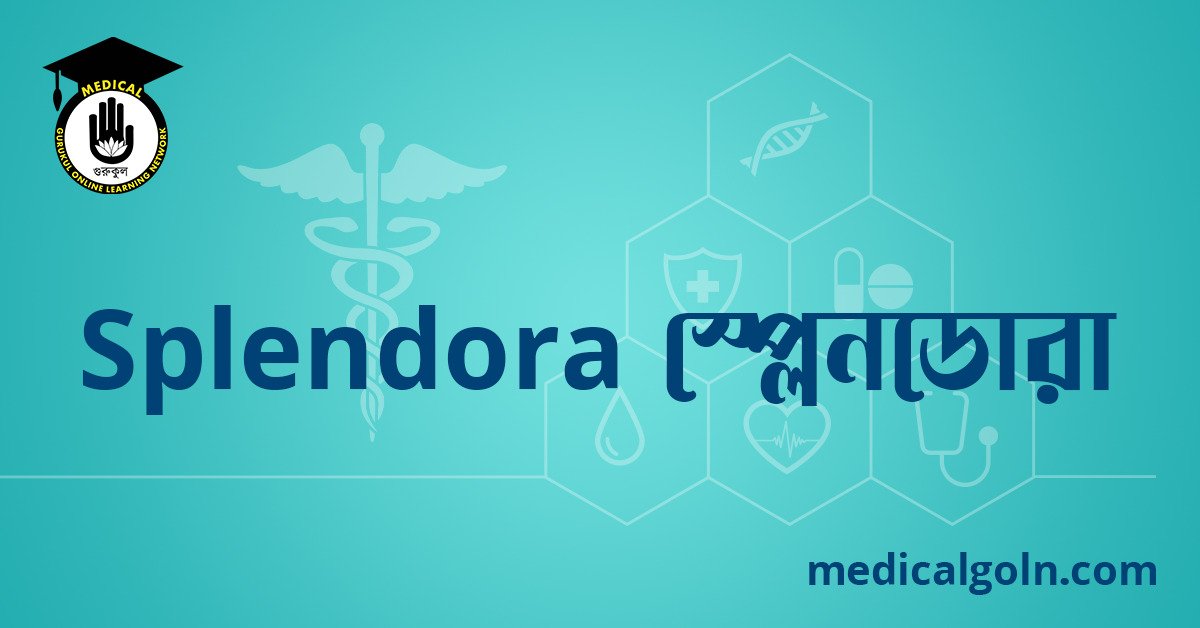 Splendora স্প্লেনডোরা ওষুধের যাবতীয় তথ্য