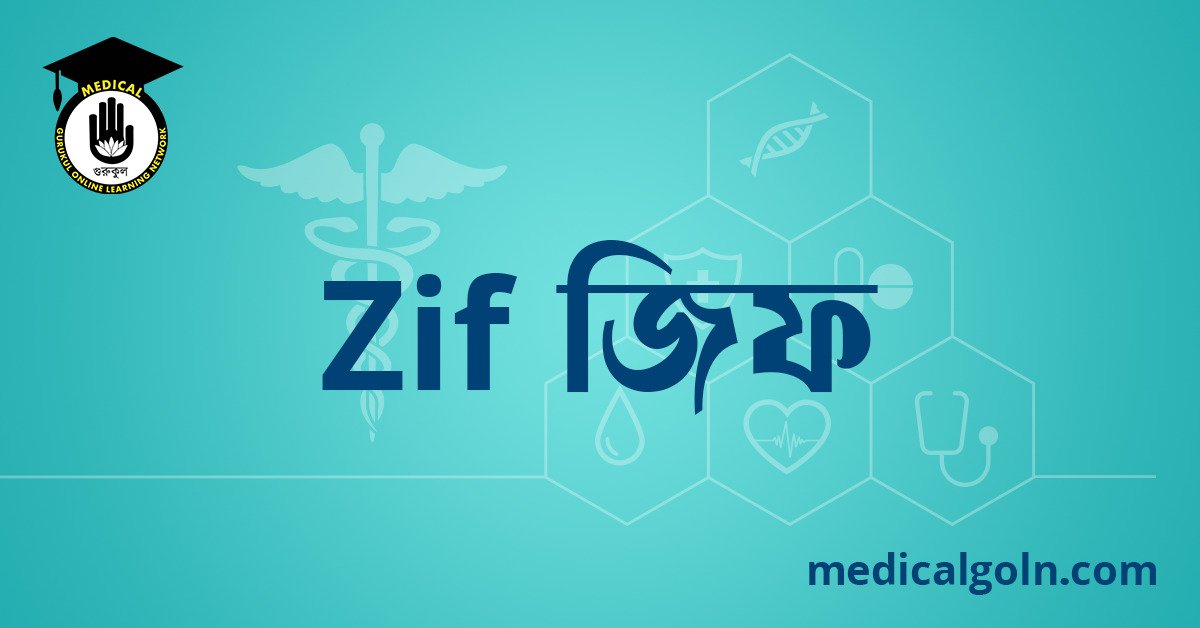 Zif জিফ ওষুধের যাবতীয় তথ্য