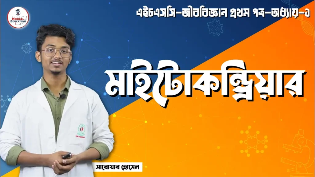 মাইটোকন্ড্রিয়া এর ধারণা