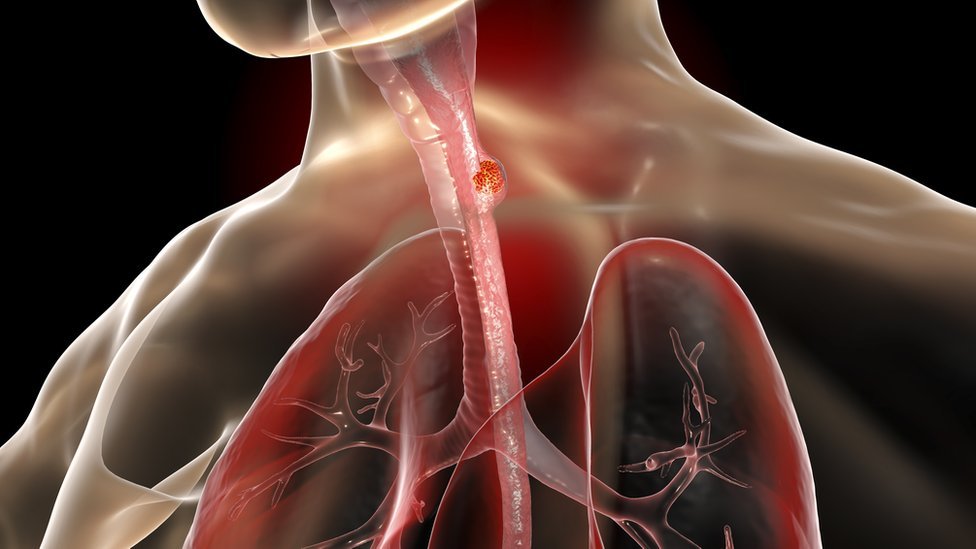 খাদ্যনালী এর ধারণা