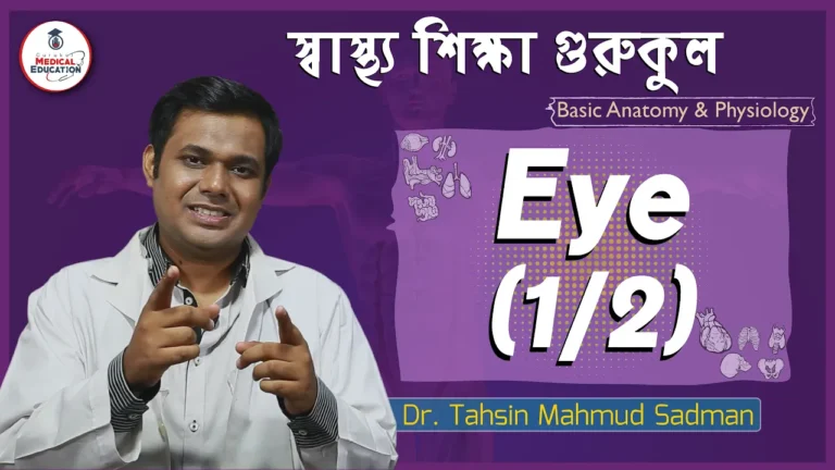 চক্ষু বা চোখ