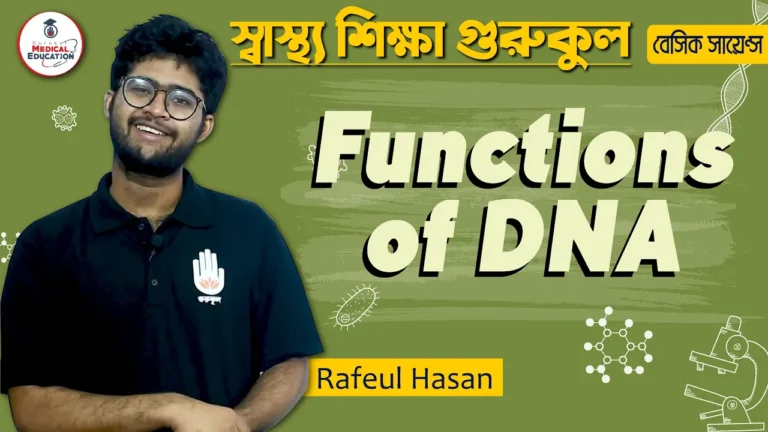 ডিএনএ এর কাজ