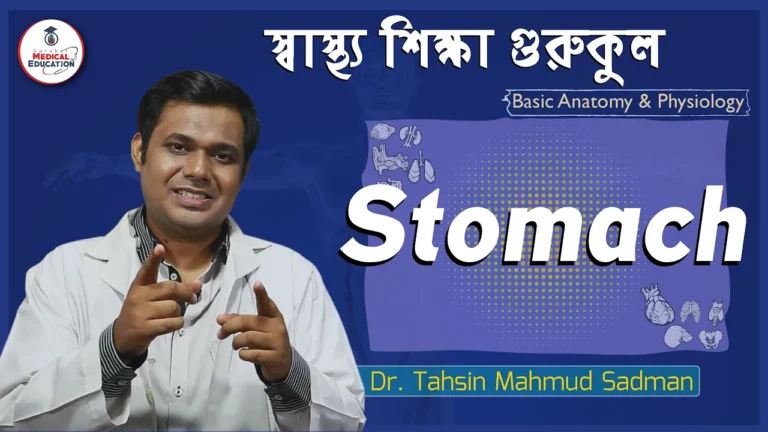 পাকস্থলী এর ধারণা