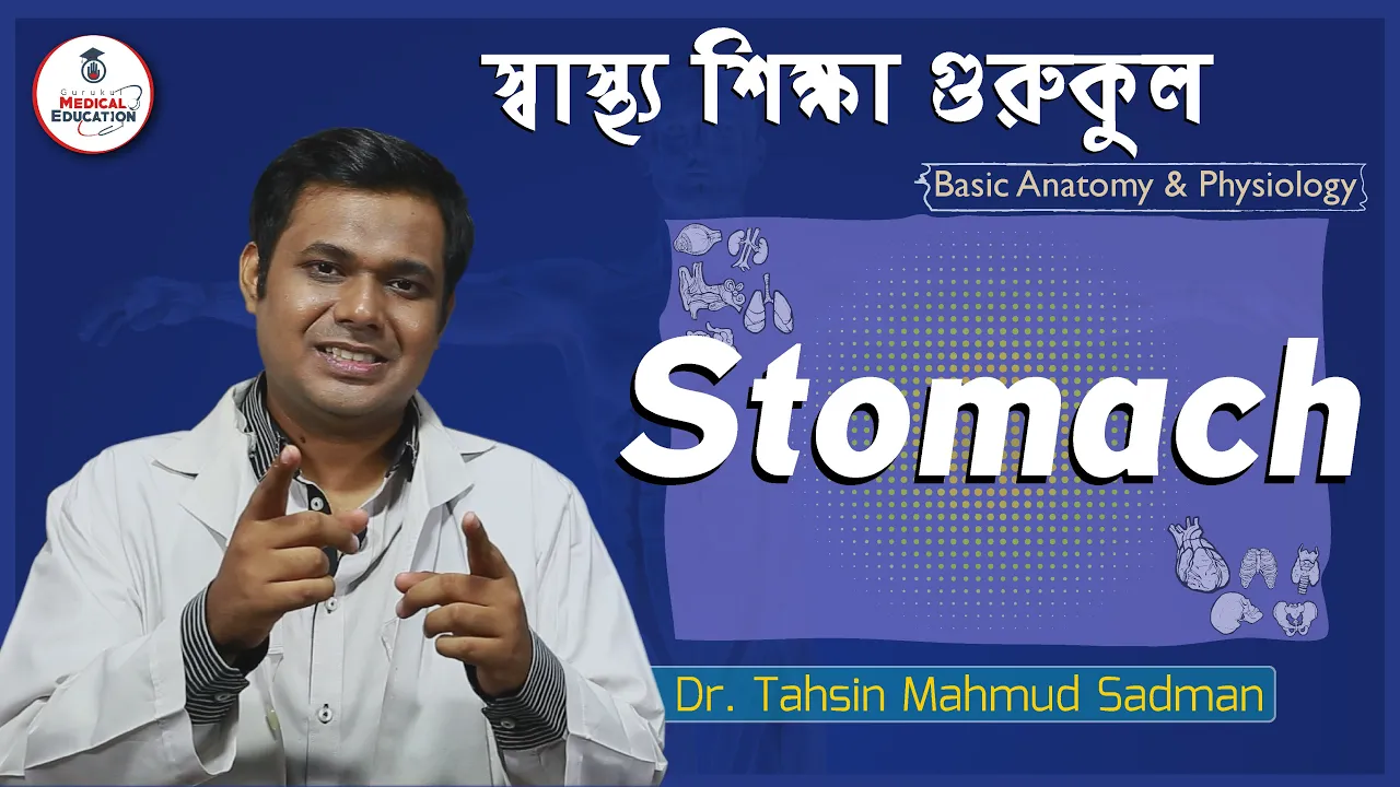 পাকস্থলী এর ধারণা