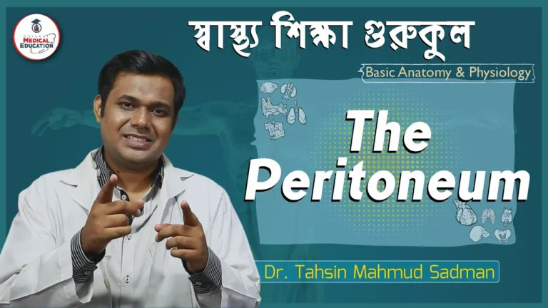 পেরিটোনিয়াম এর ধারণা