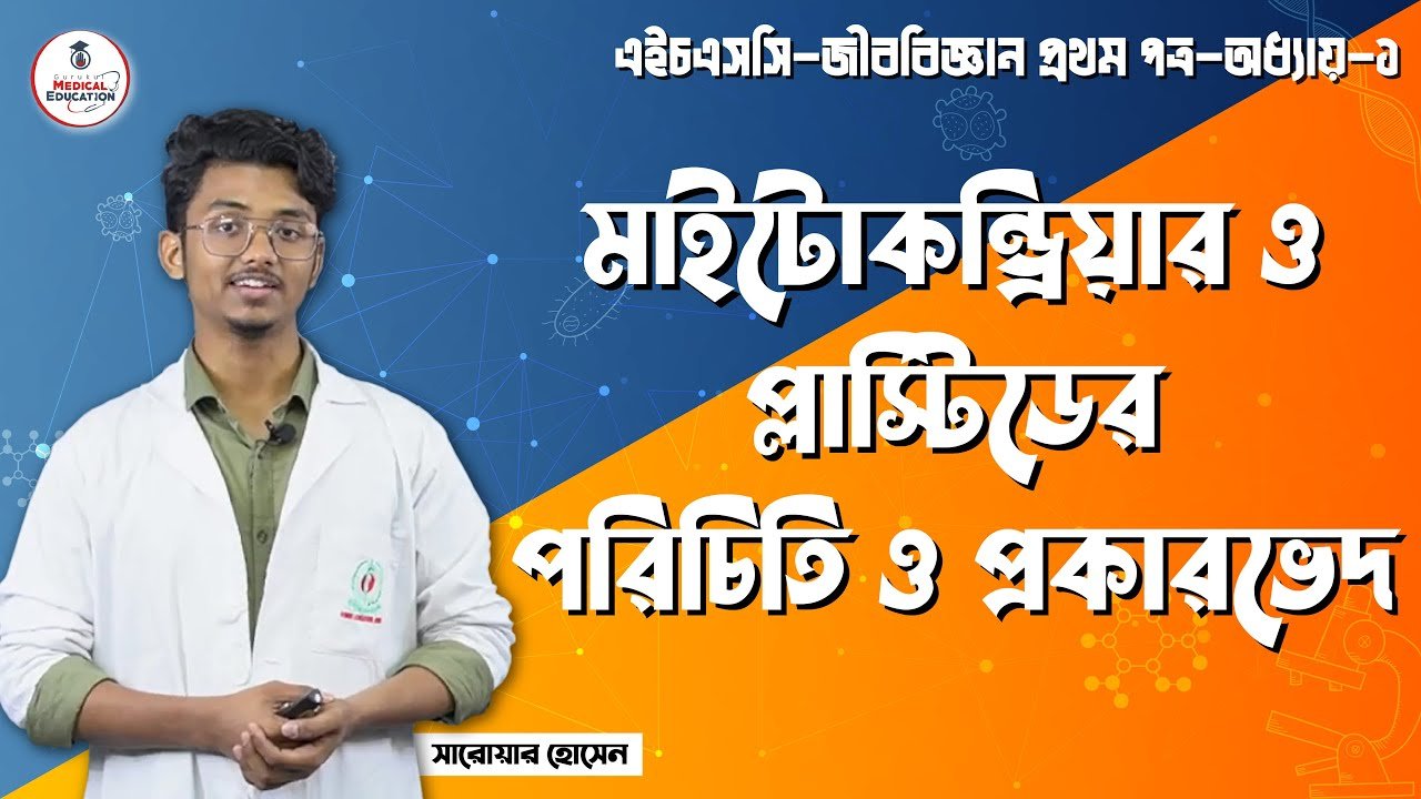 প্লাস্টিডের পরিচিতি