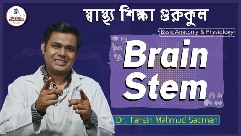 ব্রেইন স্টিম