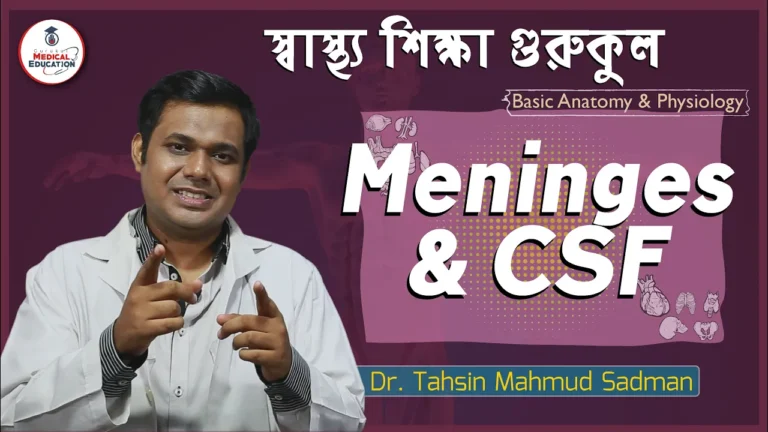 মেনিনজেস এবং সিএসএফ