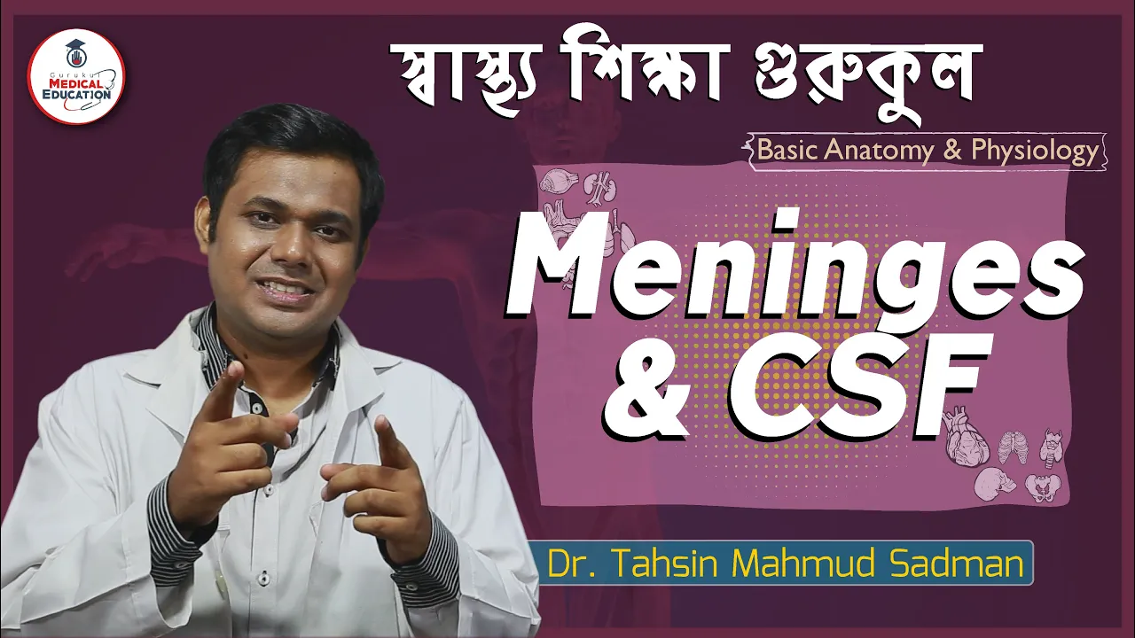 মেনিনজেস এবং সিএসএফ