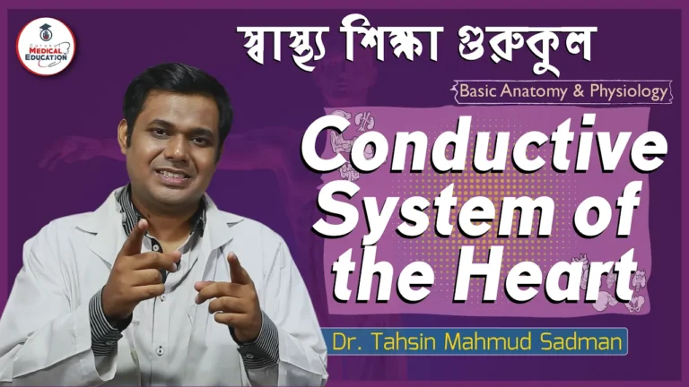 হার্টের কন্ডাকটিভ