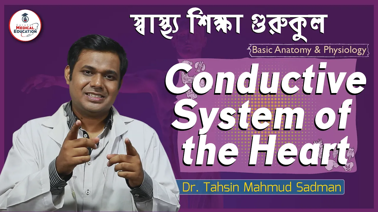 হার্টের কন্ডাকটিভ