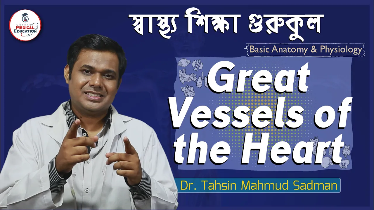 হার্টের প্রধান রক্তনালী