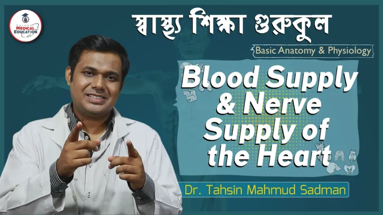 হার্টের ব্লাড