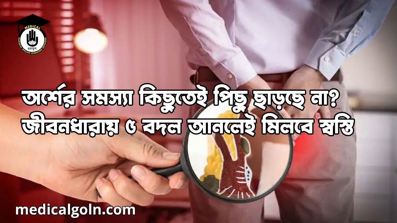 অর্শের সমস্যা কিছুতেই পিছু ছাড়ছে না? জীবনধারায় ৫ বদল আনলেই মিলবে স্বস্তি